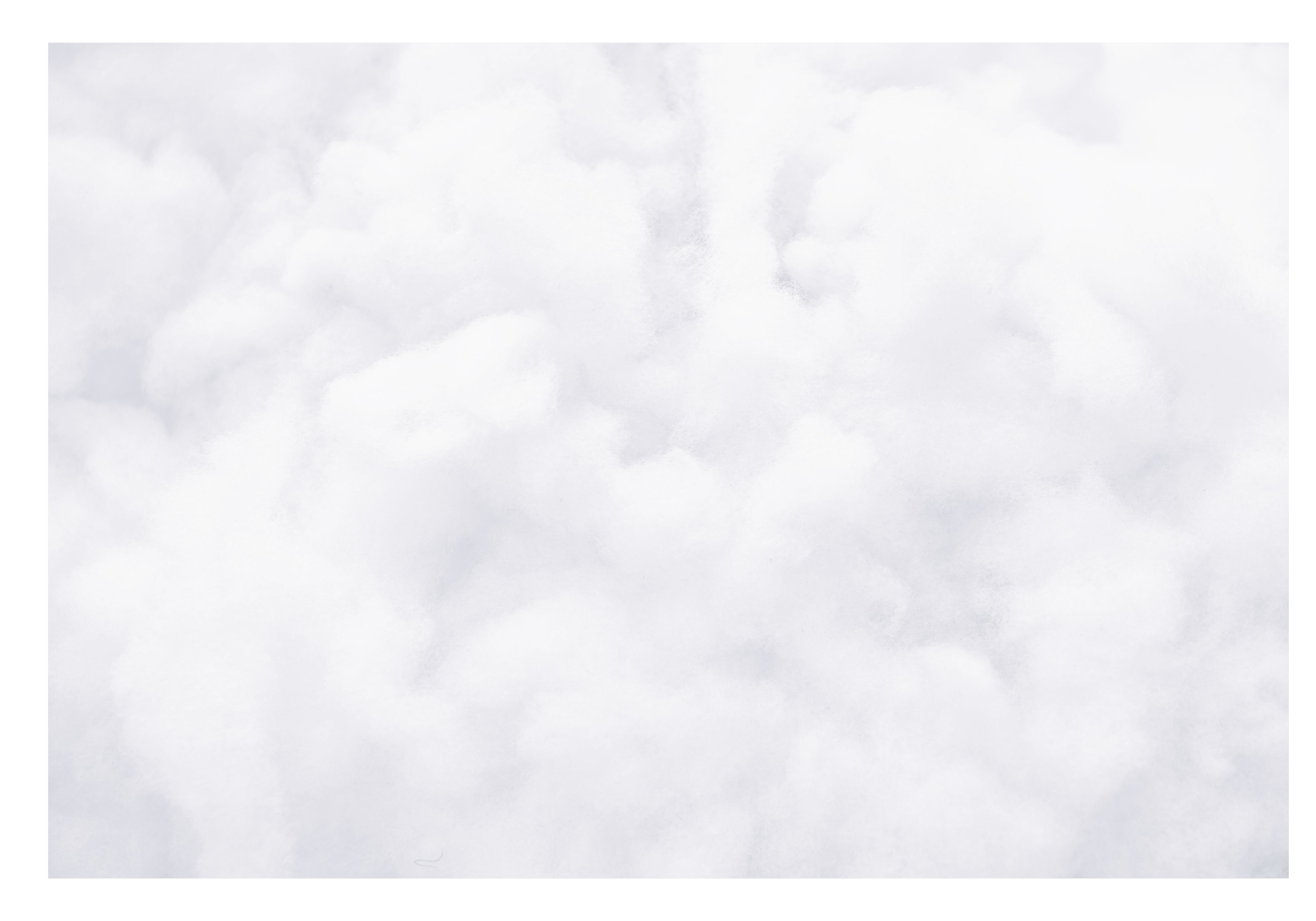 Le Musc Blanc, l'essence de la douceur Image