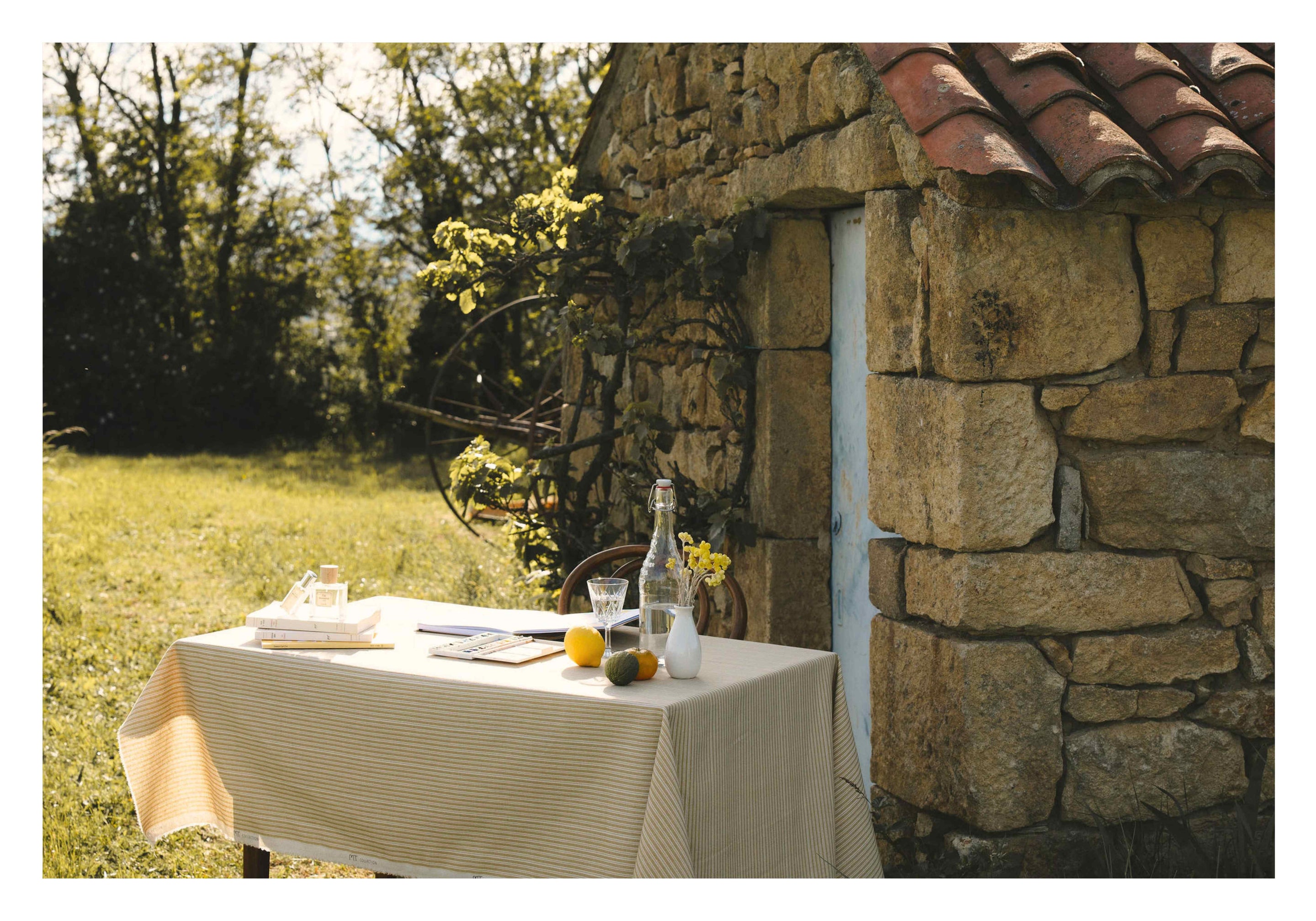Les parfums aromatiques : le maquis corse en flacon