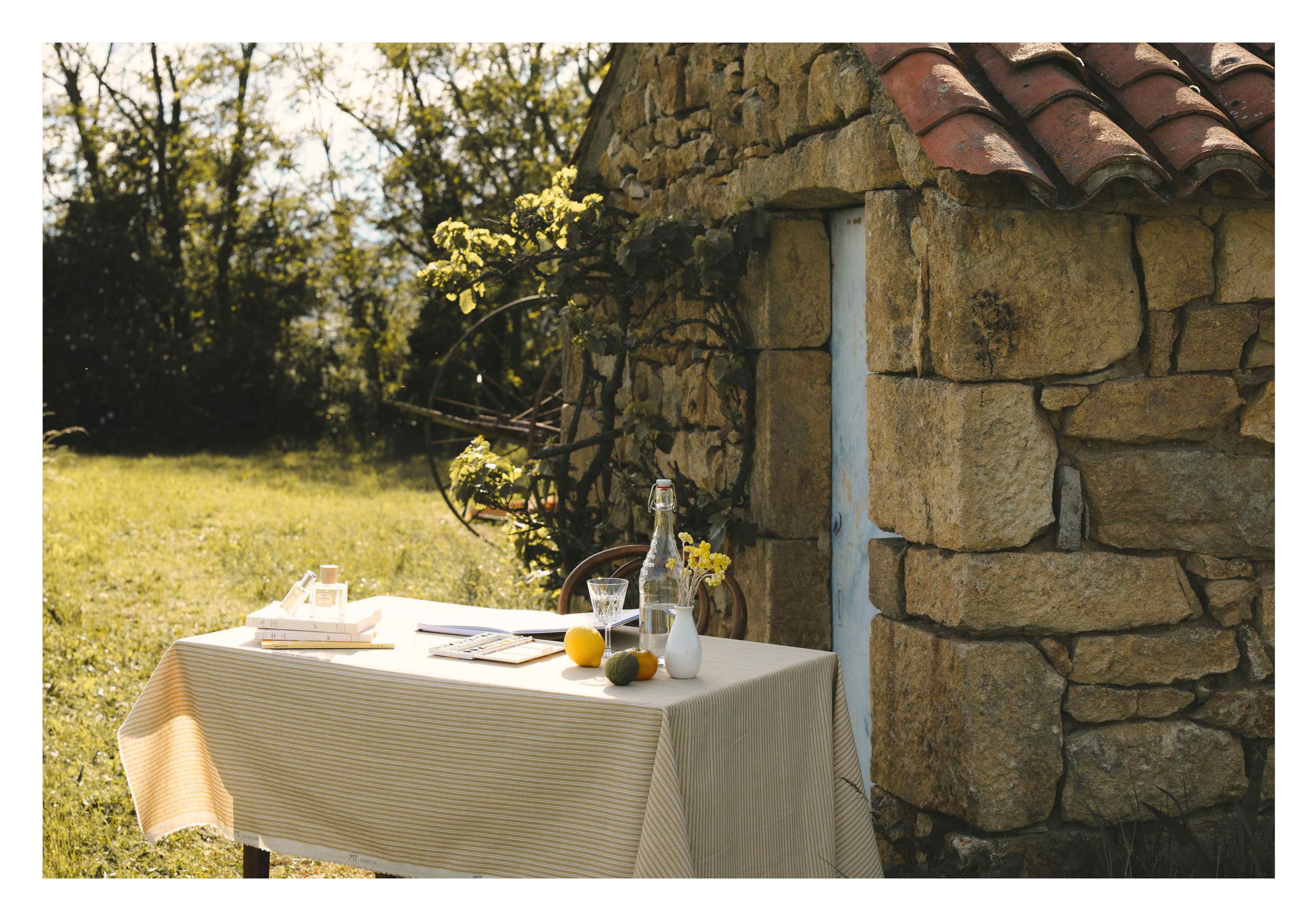 Les parfums aromatiques : le maquis corse en flacon Image