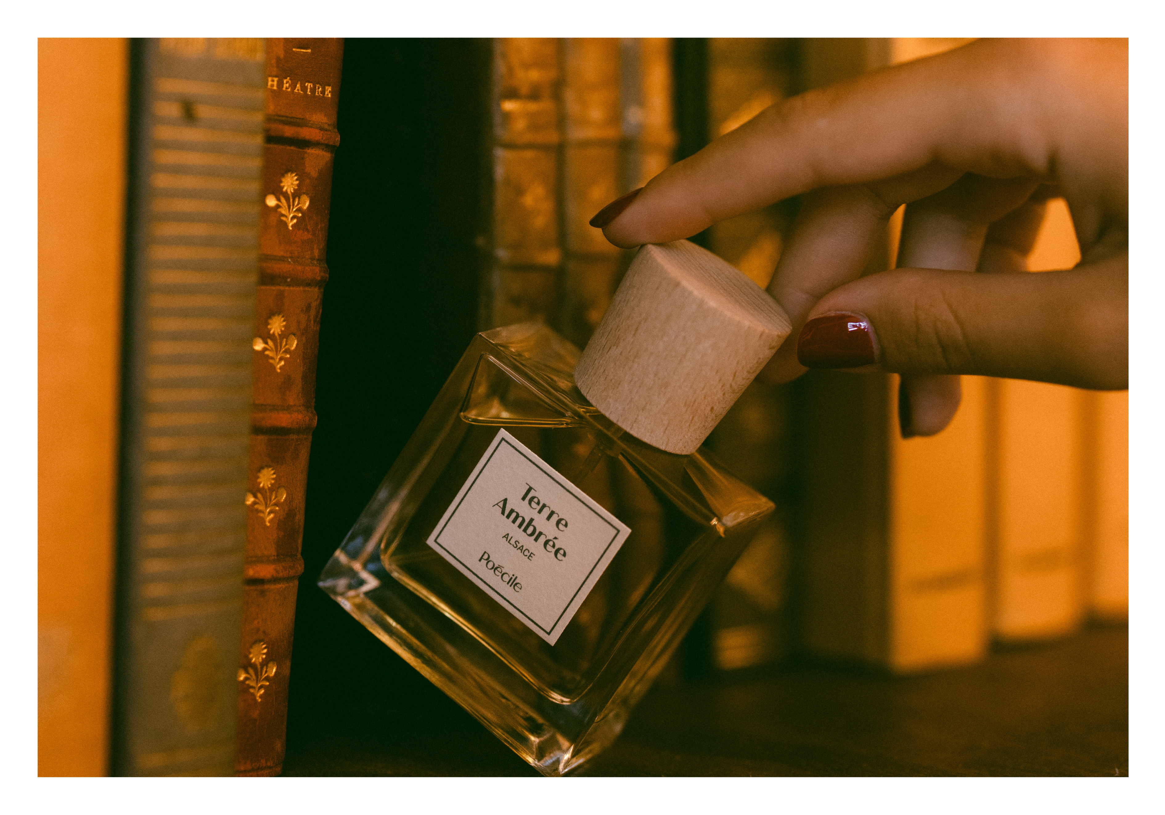 Terre Ambrée : meilleur parfum de niche ? Image
