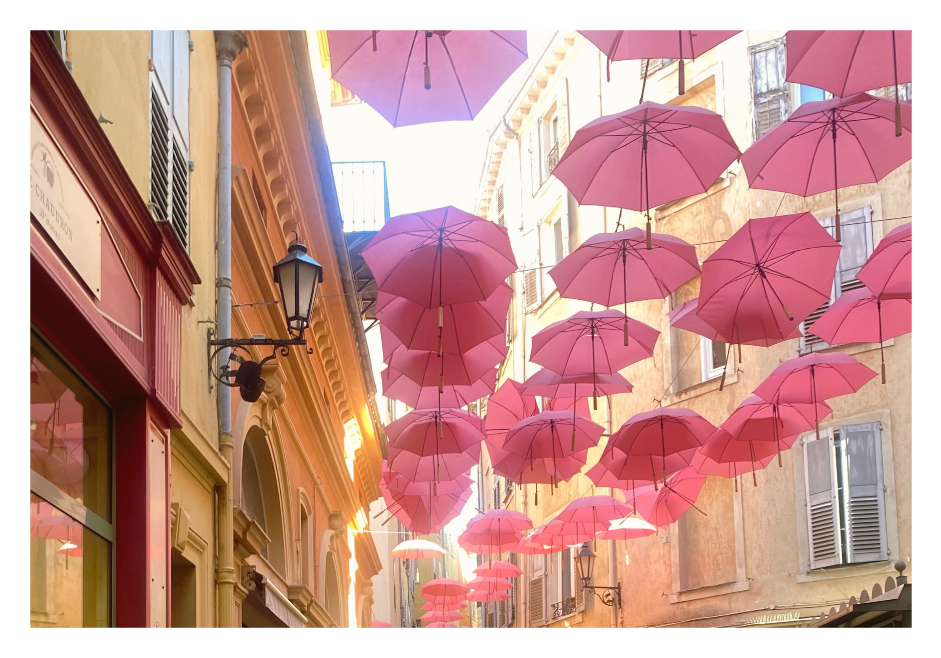 Les parapluies rose de Grasse  Image