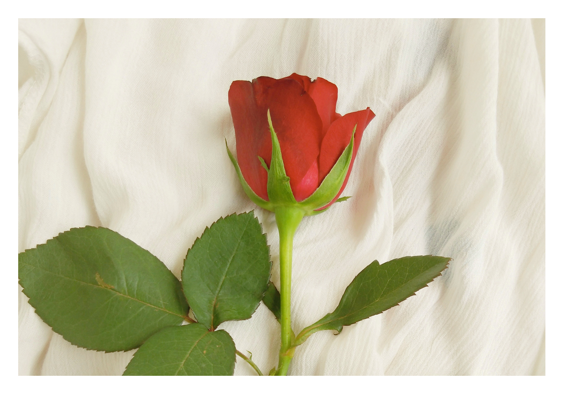 Idées cadeaux fête des mères
