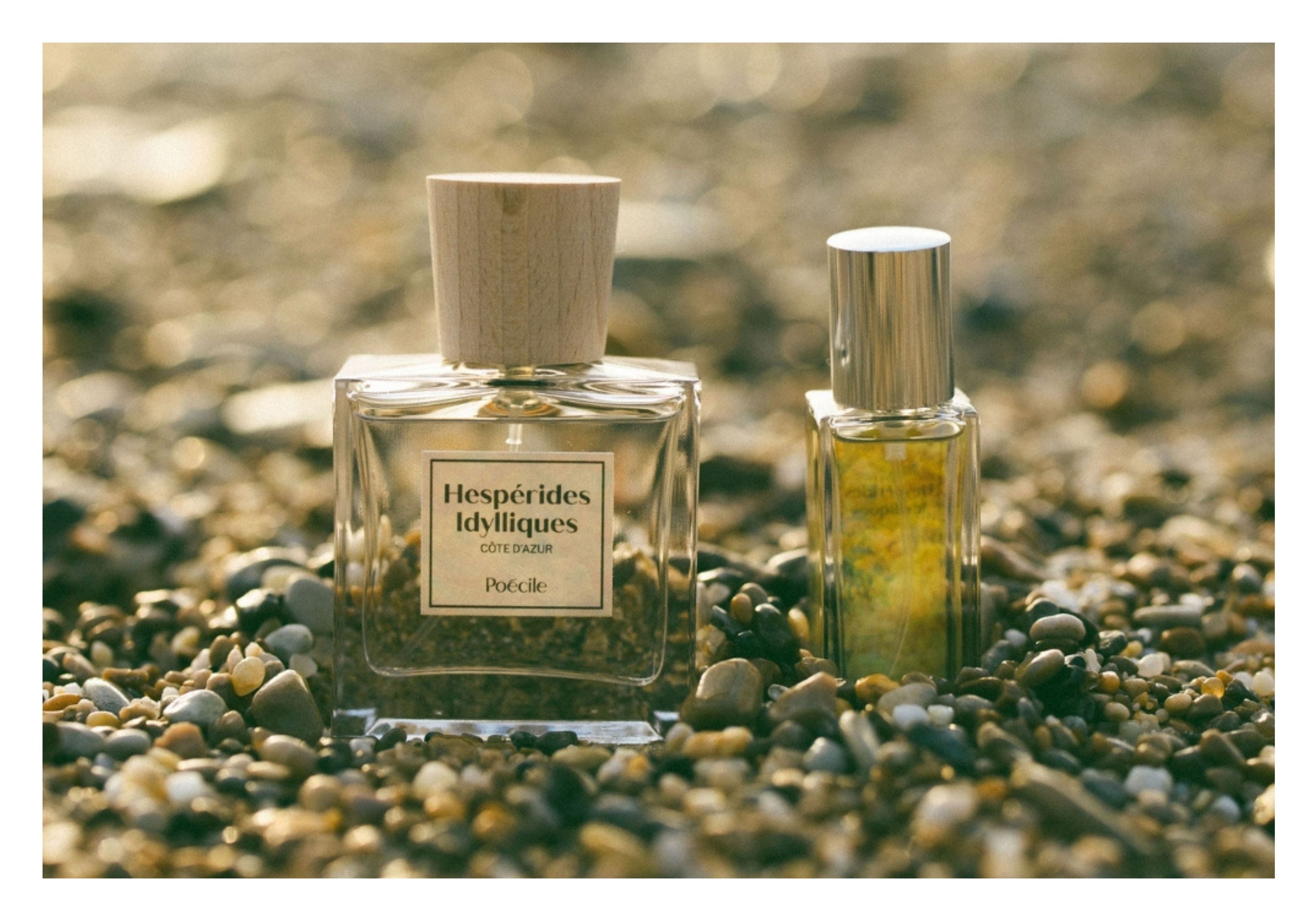 Sous le soleil : des parfums qui sentent les vacances