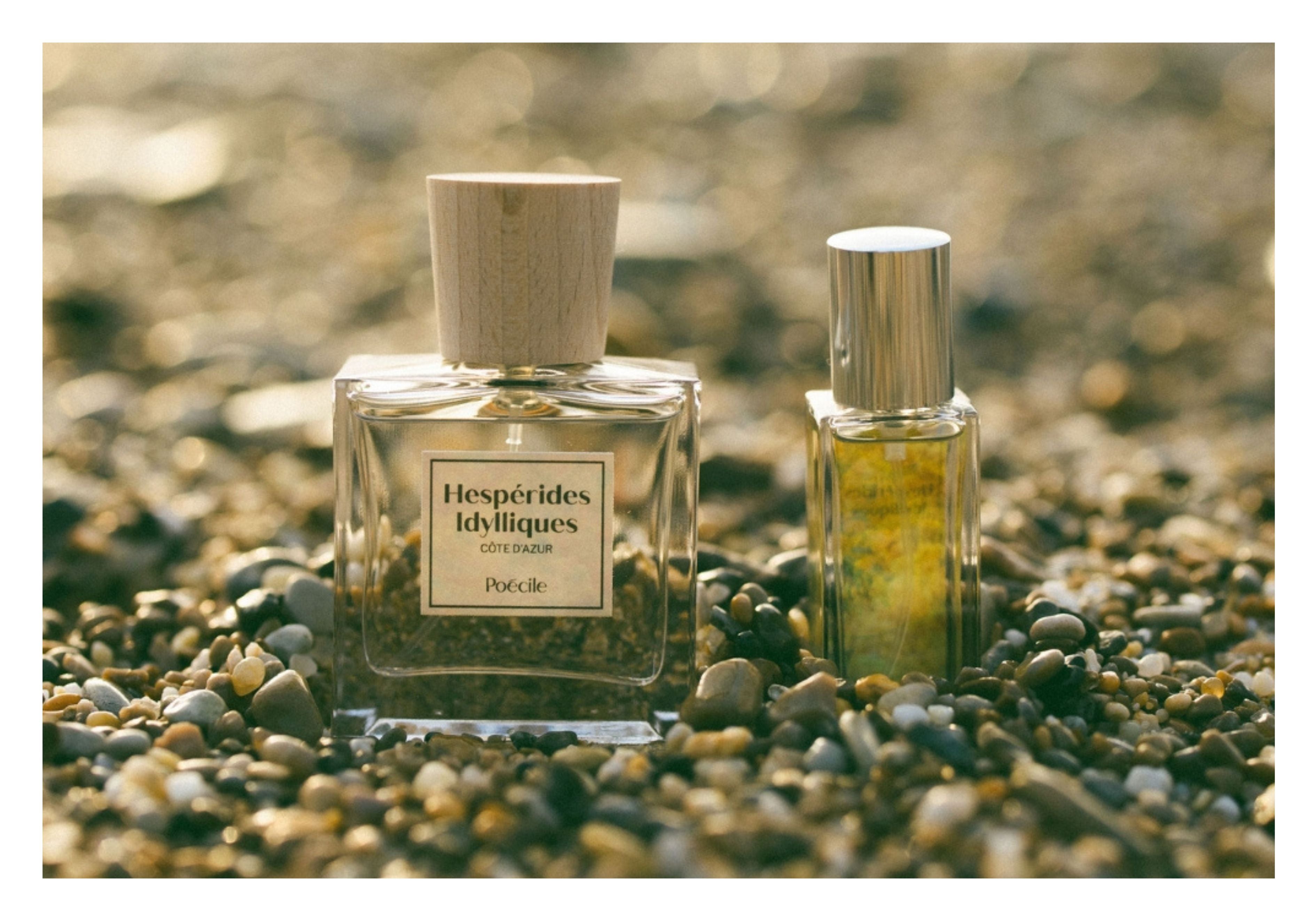 Sous le soleil : des parfums qui sentent les vacances Image