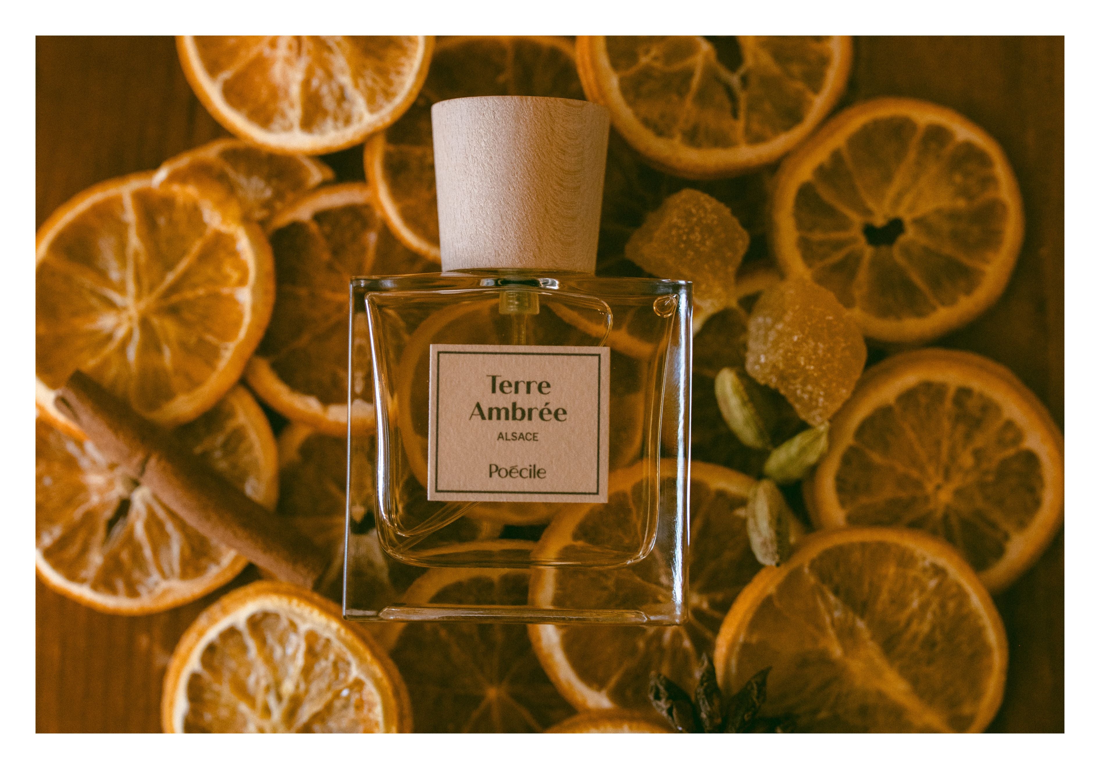 Tout savoir sur les parfums ambrés Image