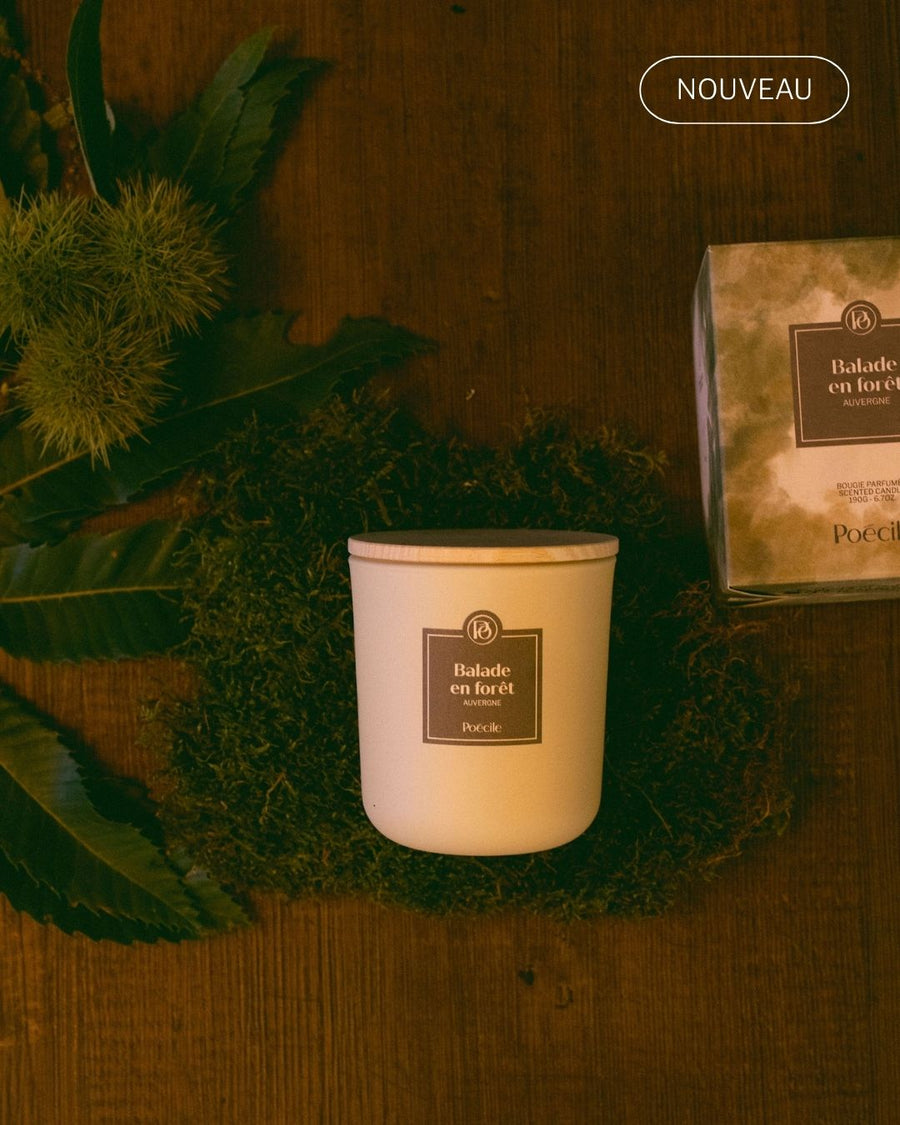 Balade en forêt - Bougie